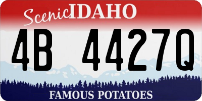 ID license plate 4B4427Q