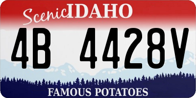 ID license plate 4B4428V