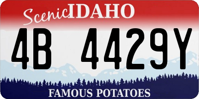 ID license plate 4B4429Y