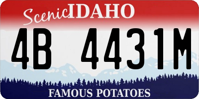 ID license plate 4B4431M