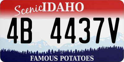 ID license plate 4B4437V