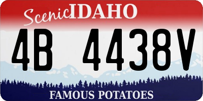 ID license plate 4B4438V