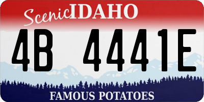 ID license plate 4B4441E