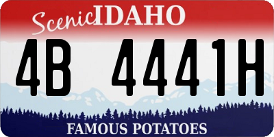 ID license plate 4B4441H