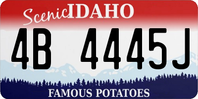 ID license plate 4B4445J