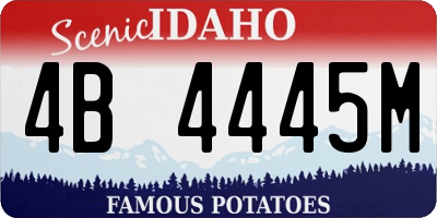 ID license plate 4B4445M