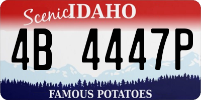 ID license plate 4B4447P