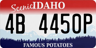 ID license plate 4B4450P