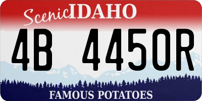 ID license plate 4B4450R