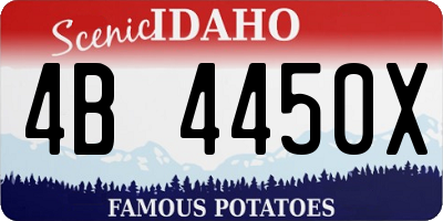 ID license plate 4B4450X