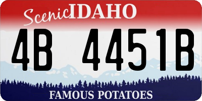 ID license plate 4B4451B