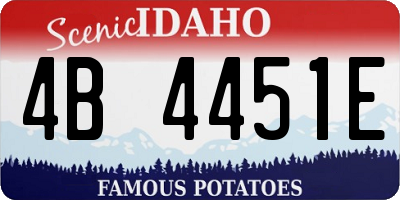 ID license plate 4B4451E