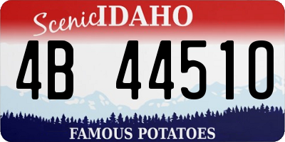 ID license plate 4B4451O