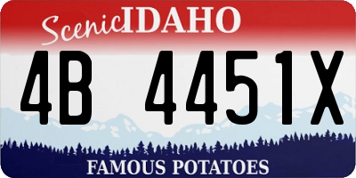 ID license plate 4B4451X