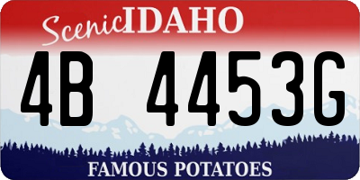 ID license plate 4B4453G
