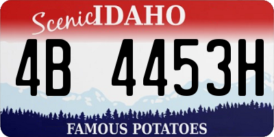 ID license plate 4B4453H
