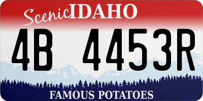 ID license plate 4B4453R
