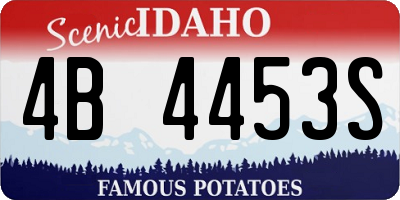ID license plate 4B4453S