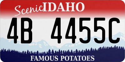ID license plate 4B4455C