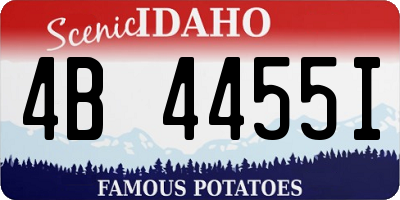 ID license plate 4B4455I