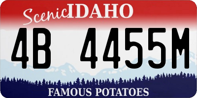 ID license plate 4B4455M
