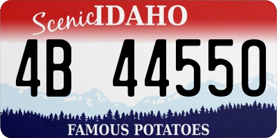 ID license plate 4B4455O