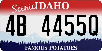 ID license plate 4B4455Q