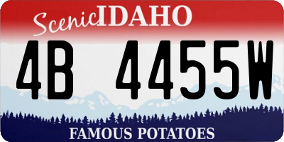 ID license plate 4B4455W
