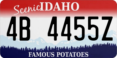 ID license plate 4B4455Z