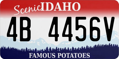 ID license plate 4B4456V