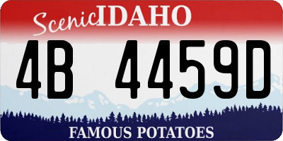ID license plate 4B4459D