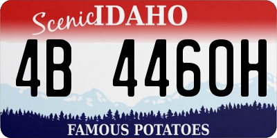 ID license plate 4B4460H