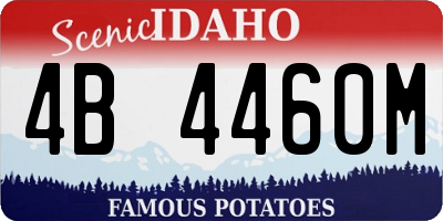 ID license plate 4B4460M