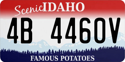 ID license plate 4B4460V