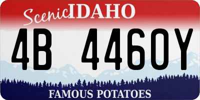 ID license plate 4B4460Y
