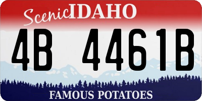 ID license plate 4B4461B