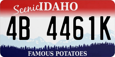 ID license plate 4B4461K
