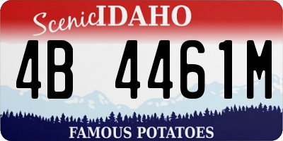 ID license plate 4B4461M