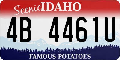 ID license plate 4B4461U