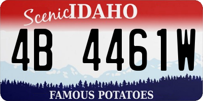 ID license plate 4B4461W