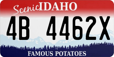 ID license plate 4B4462X