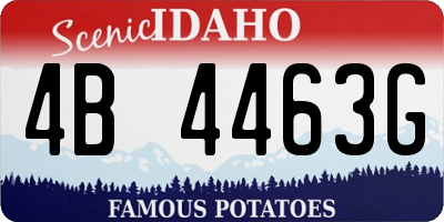 ID license plate 4B4463G
