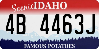 ID license plate 4B4463J