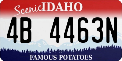 ID license plate 4B4463N