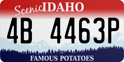 ID license plate 4B4463P