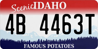 ID license plate 4B4463T