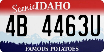 ID license plate 4B4463U