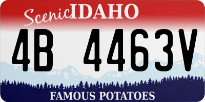 ID license plate 4B4463V