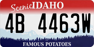 ID license plate 4B4463W