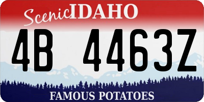 ID license plate 4B4463Z